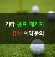 [유선문의]기타 골프패키지