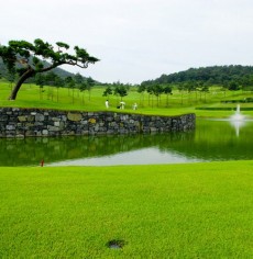 정산cc-당일부킹