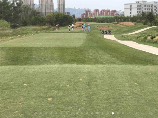 중국 청도골프 2박3일 패키지