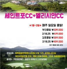 신년맞이 초특가 세인트포cc+엘리시안 cc