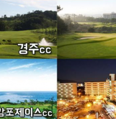 [3월] 경주로 1박2일 패키지