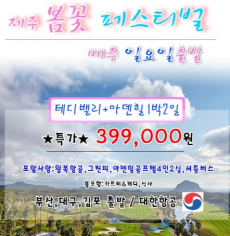 제주 봄꽃 페스티벌 매주 일요일 출발