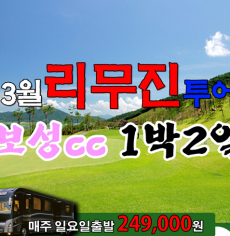 3월 리무진투어 1박2일 국내여행 투어