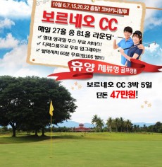 보르네오cc 항공 땡처리특가