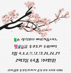 2024년 3월 후쿠오카 벗꽃골프 선예약특가 선착순 각날자 8명
